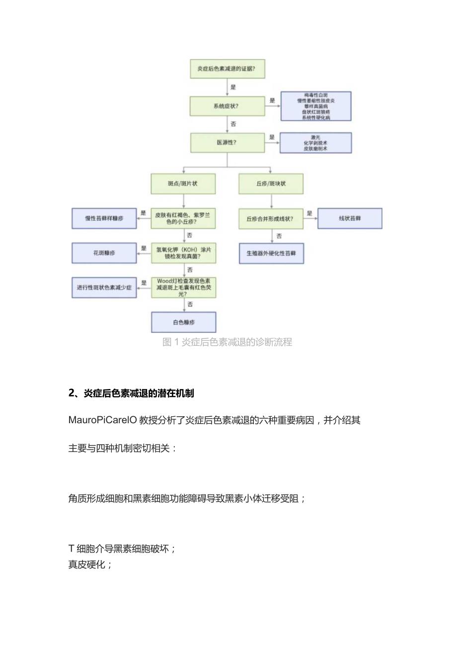 2023炎症后色素减退的病因、诊断和治疗.docx_第2页