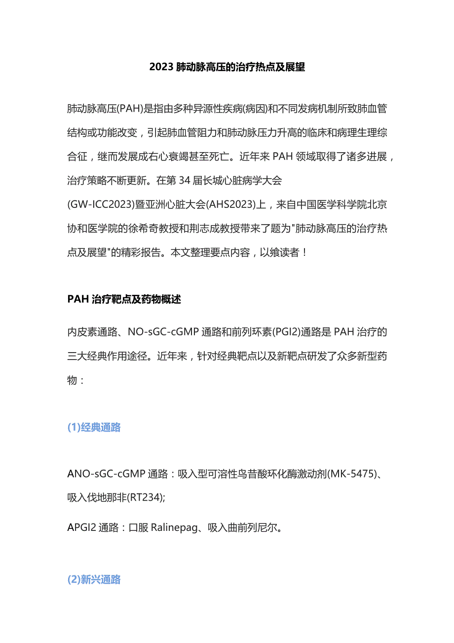 2023肺动脉高压的治疗热点及展望.docx_第1页