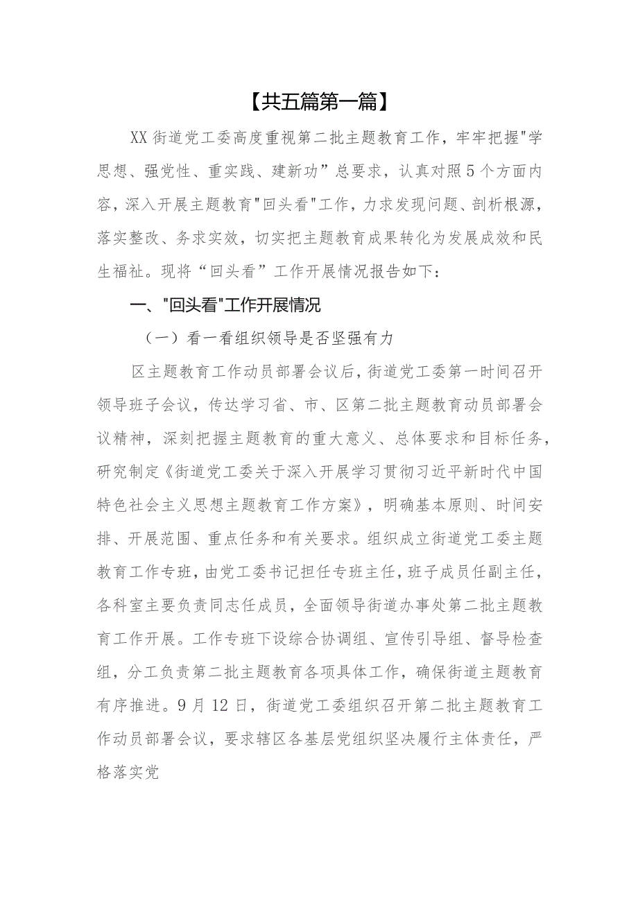 （5篇）2023主题教育问题整改“回头看”情况报告.docx_第2页