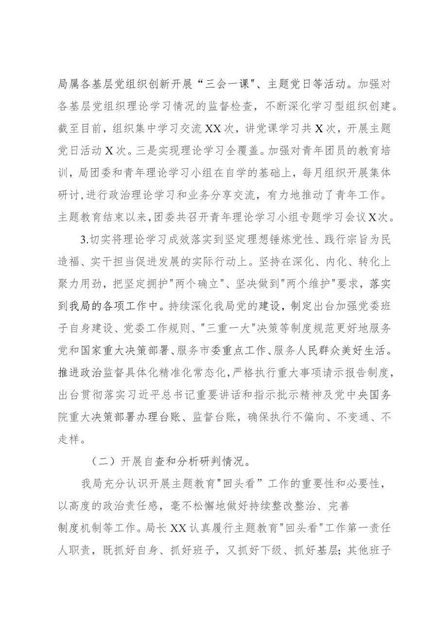 主题教育整改落实回头看工作报告（3700字总结）.docx_第2页