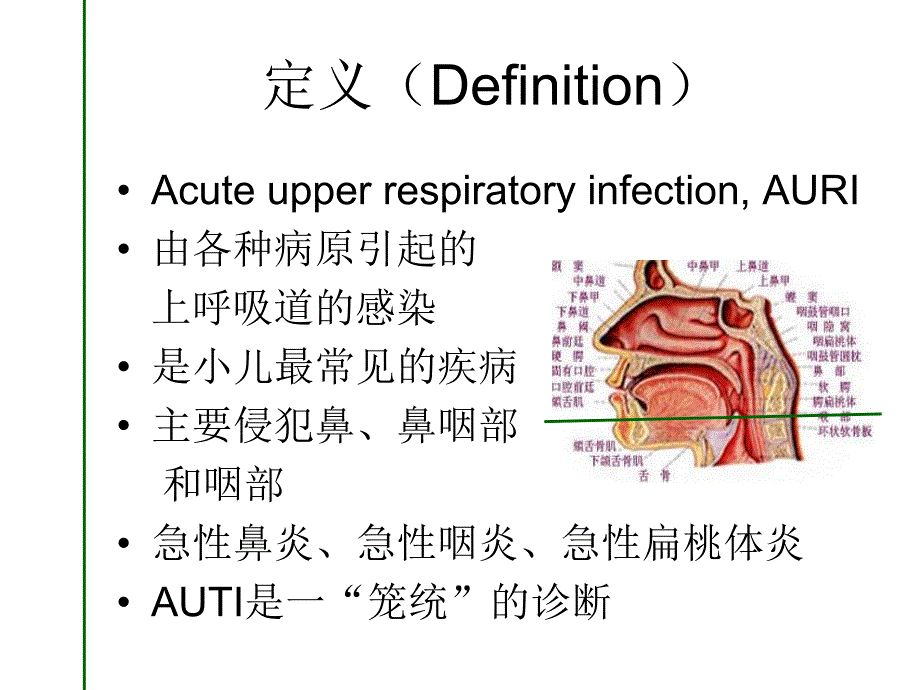 急性上呼吸道感染支气管炎.ppt_第2页