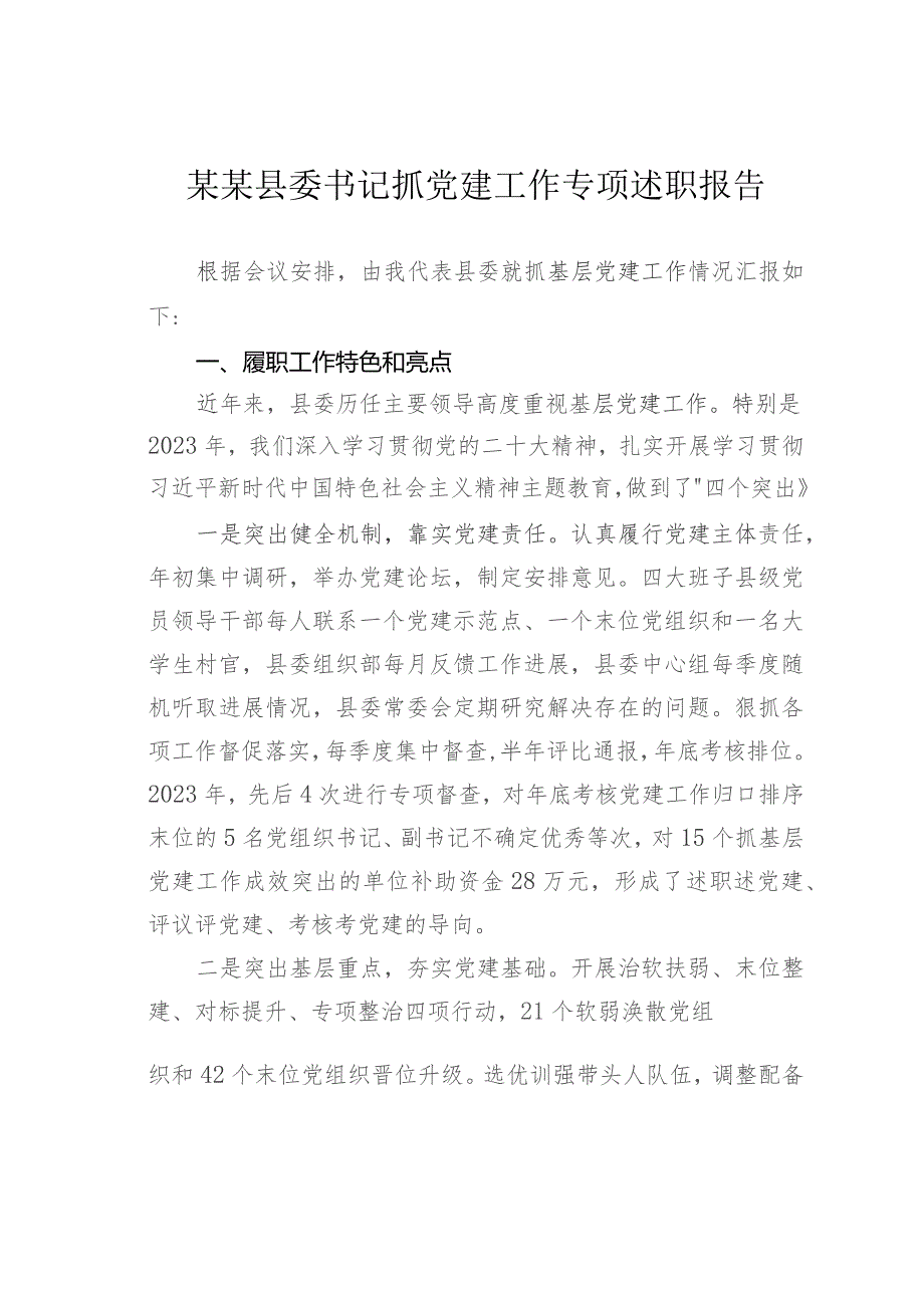 某某县委书记抓党建工作专项述职报告.docx_第1页