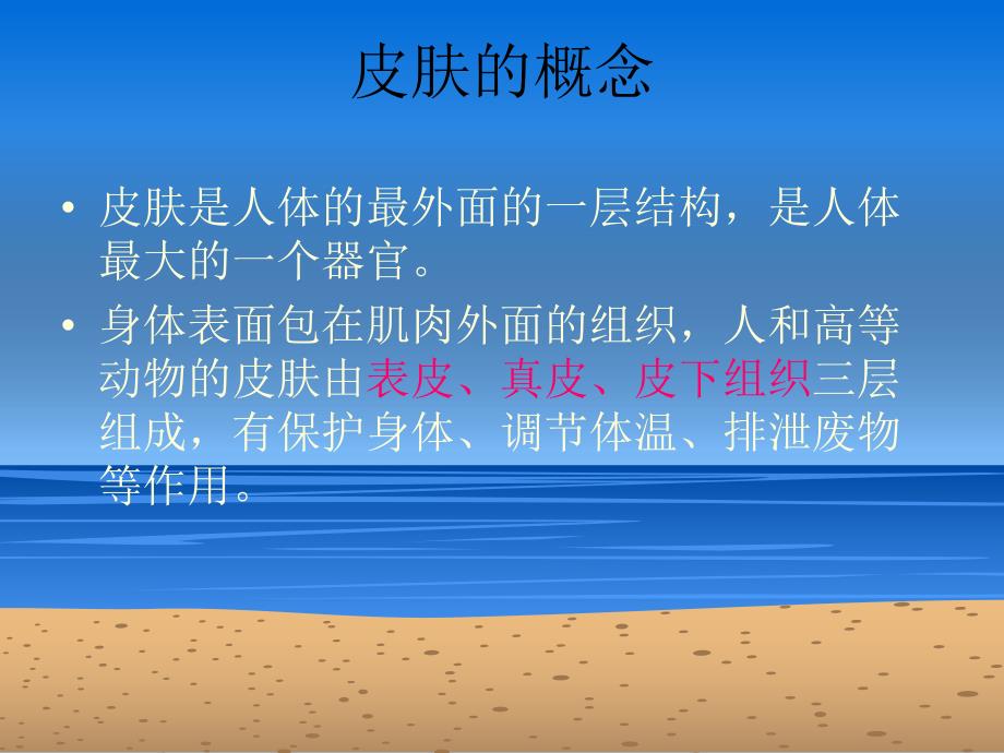 皮肤结构及肤质.ppt_第2页