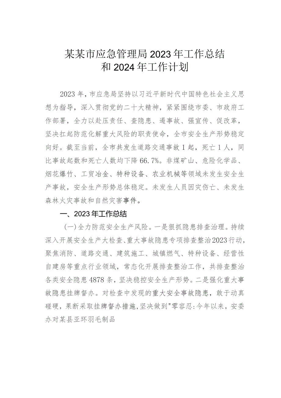 某某市应急管理局2023年工作总结和2024年工作计划.docx_第1页