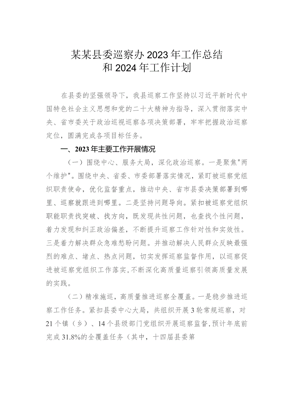 某某县委巡察办2023年工作总结和2024年工作计划.docx_第1页