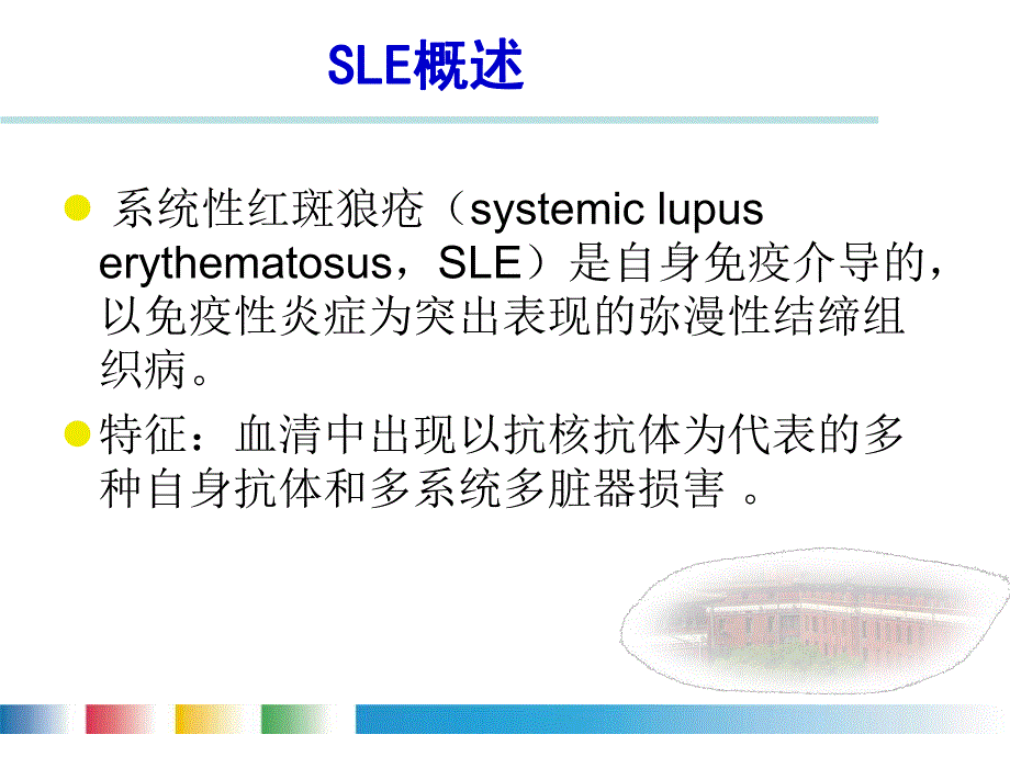 系统性红斑狼疮诊断及治疗.ppt_第2页