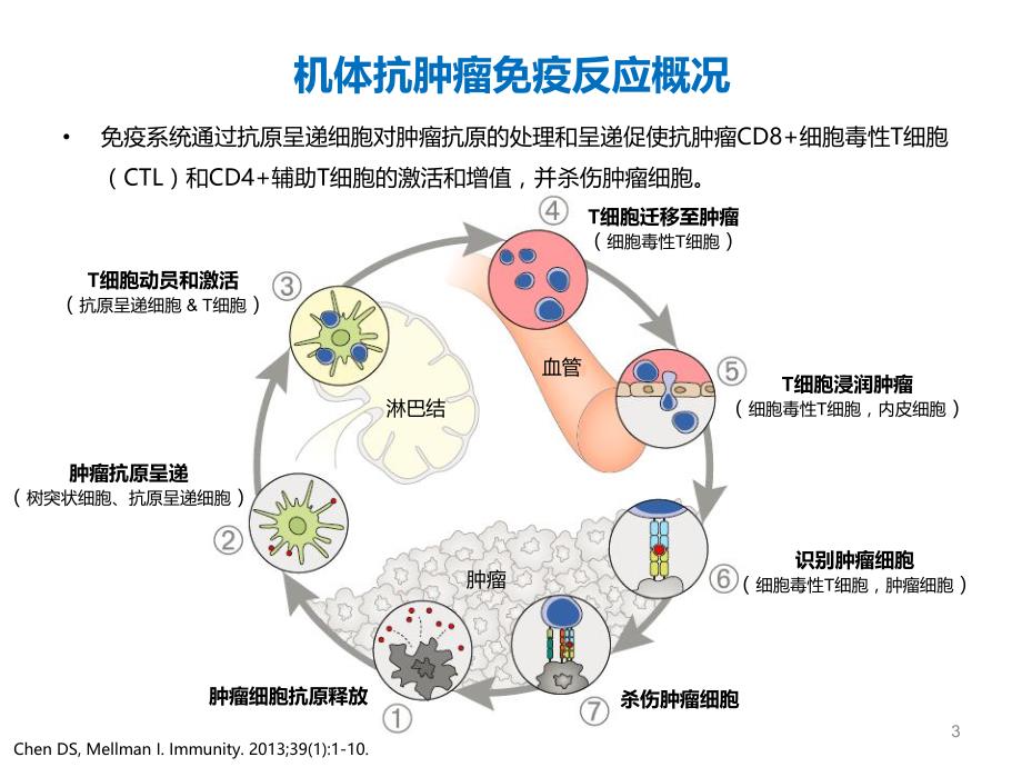 免疫治疗新进展.ppt_第3页