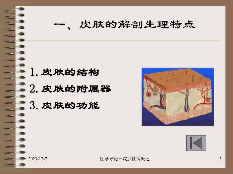 医学导论(皮肤).ppt_第3页