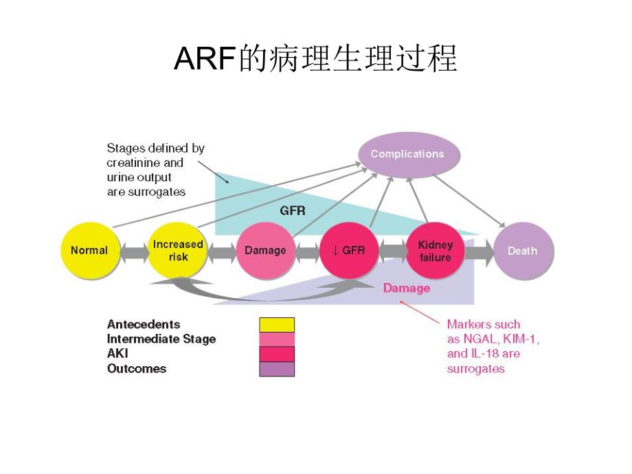 急性肾损伤诊断标准进展.ppt_第3页