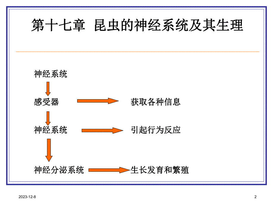 第十七章 昆虫的神经系统.ppt_第2页