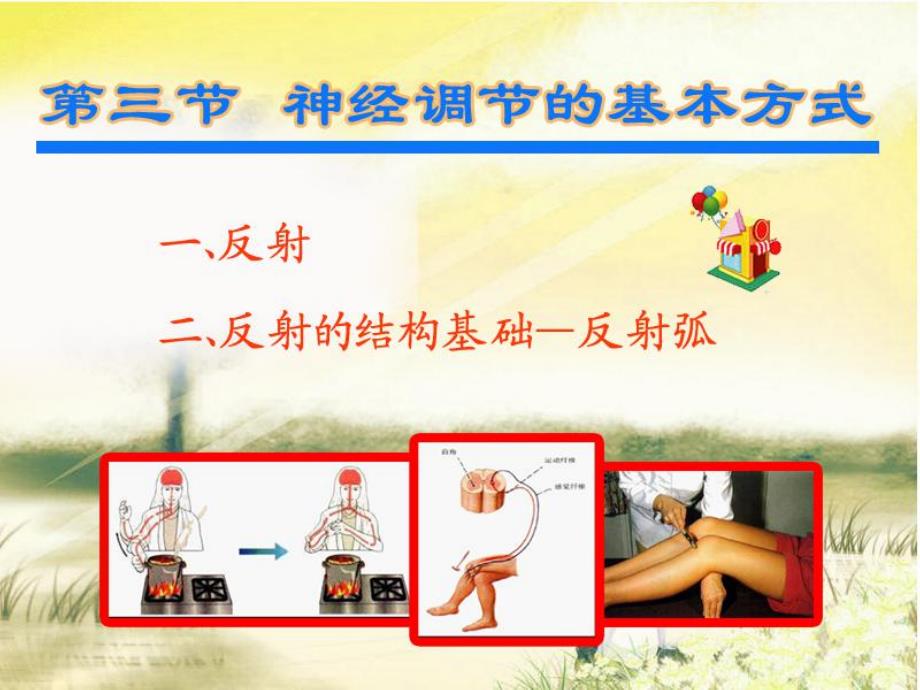 第三节神经调节的基本方式.ppt_第3页