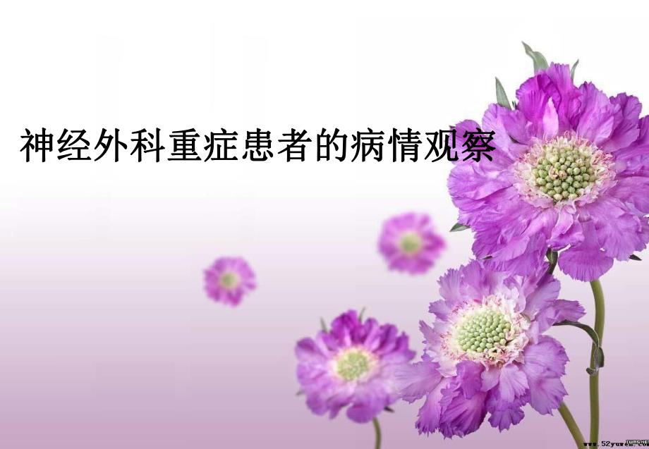 神经外科病情观察.ppt_第1页