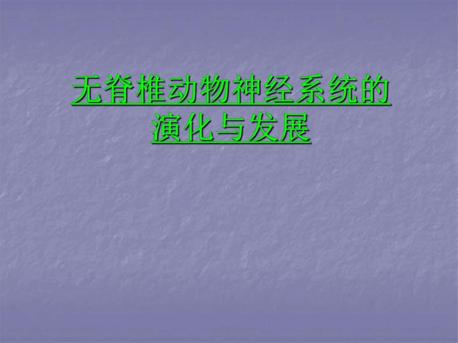 动物神经系统的进化.ppt_第1页