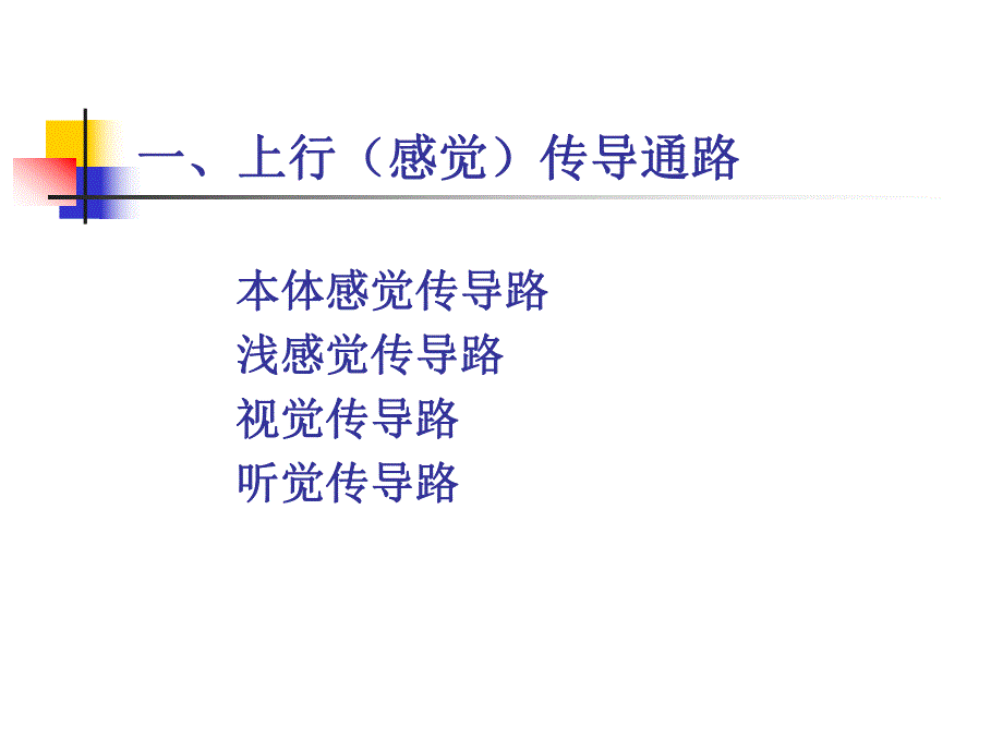 神经系统的传导通路.ppt_第3页