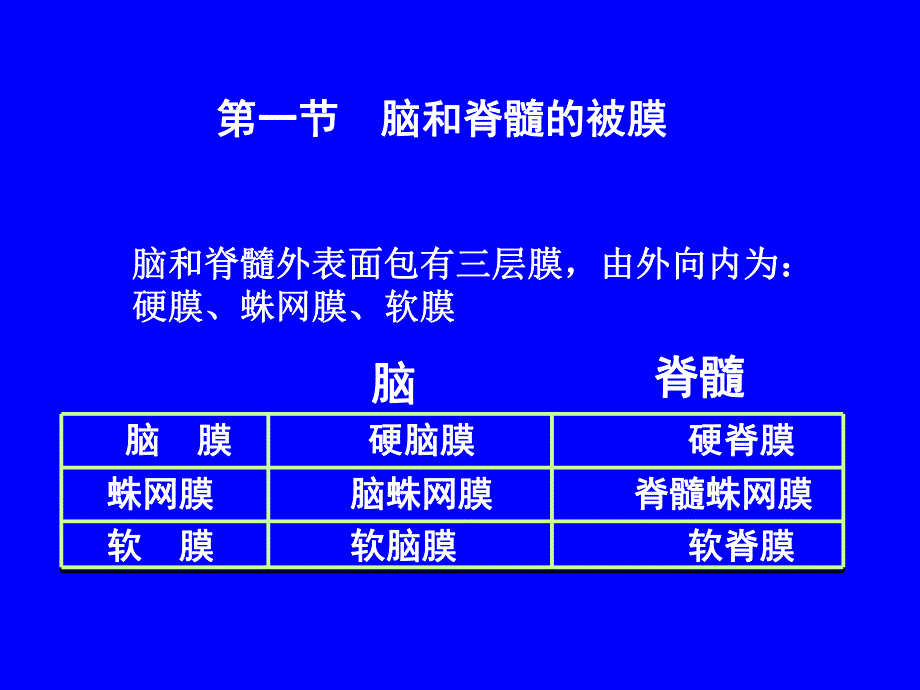 脑膜血管.ppt_第2页