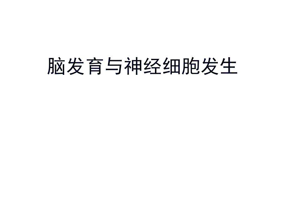 神经发生.ppt_第1页