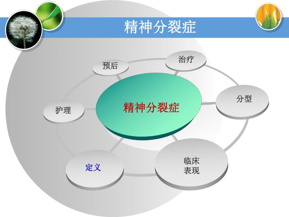 精神分裂症患者的护理(PPT34).ppt_第3页