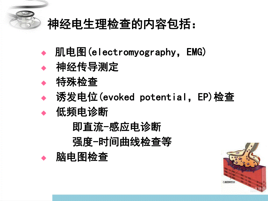 神经电生理.ppt_第2页