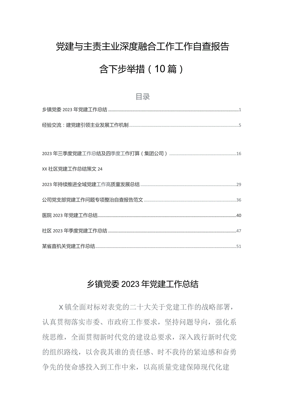 党建与主责主业深度融合工作工作自查报告含下步举措（10篇）.docx_第1页