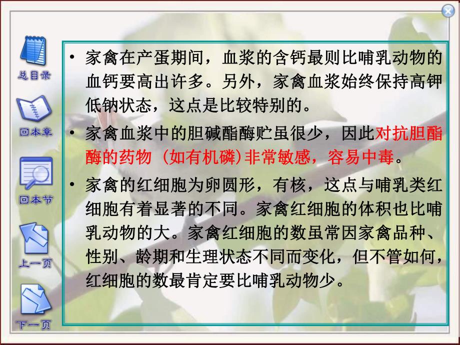 家禽的早期胚胎发育.ppt_第3页