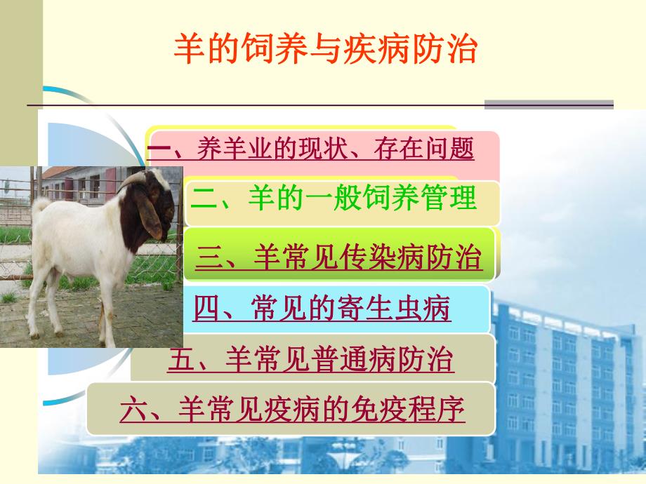 羊的饲养与疾病防治.ppt_第2页