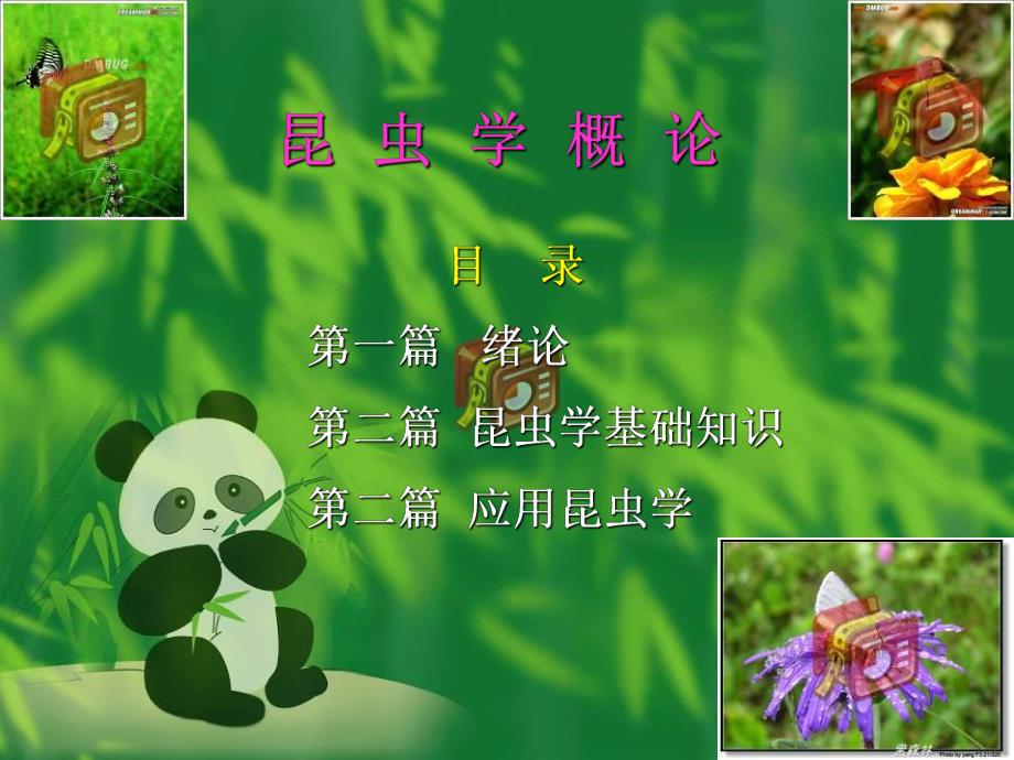 第二章昆虫形态学 (PPTminimizer).ppt_第2页