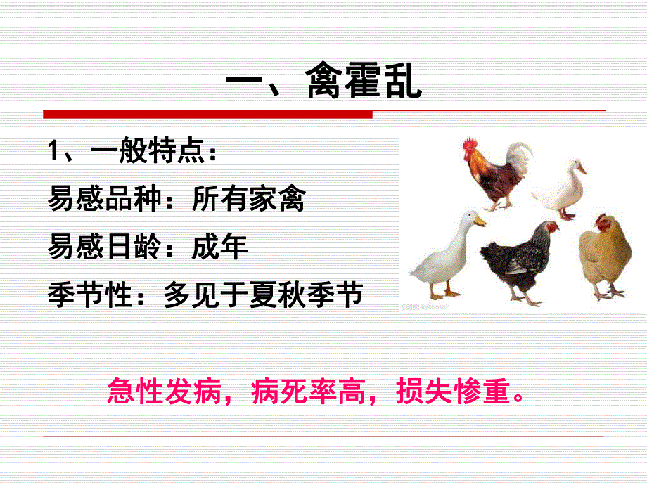 家禽常见细菌性传染病的诊断与防治.ppt_第2页