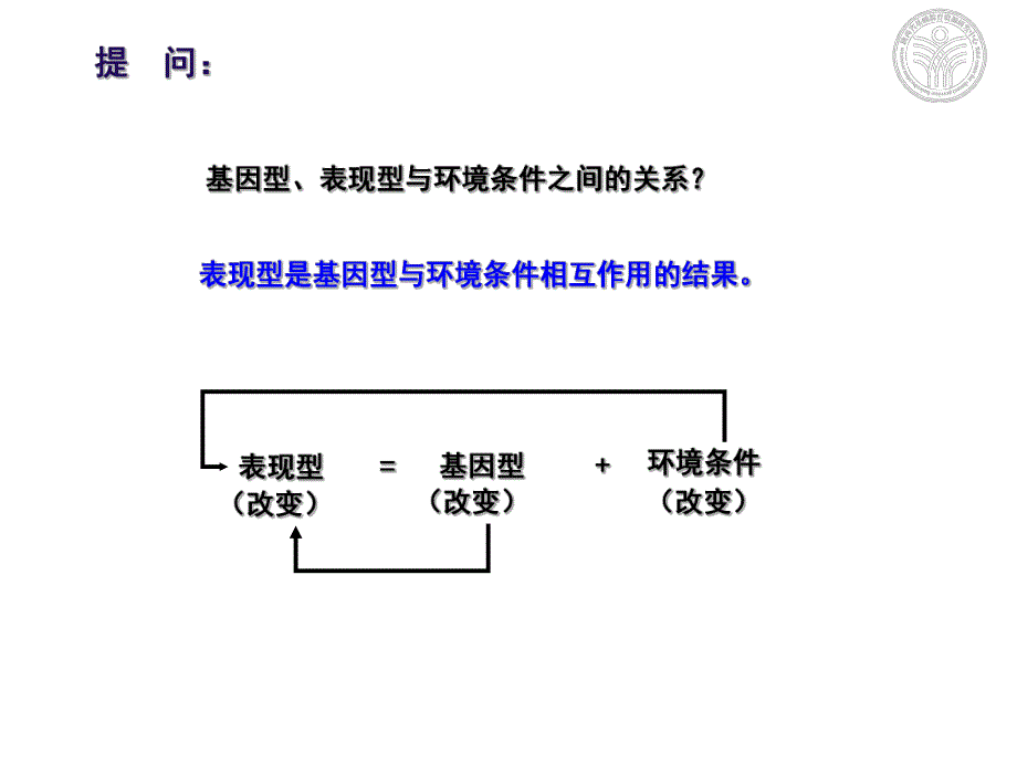 基因突变.ppt.ppt_第3页