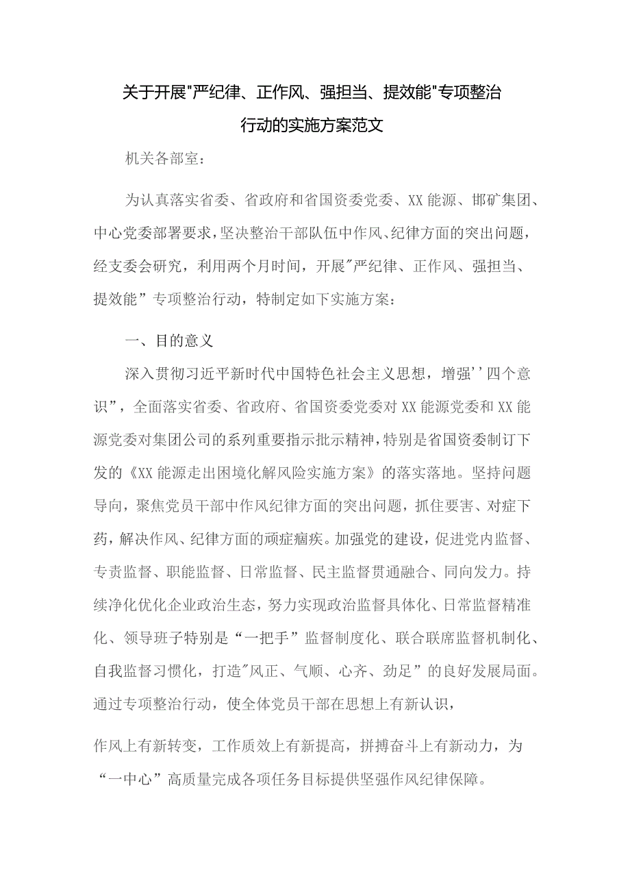 关于开展“严纪律、正作风、强担当、提效能”专项整治行动的实施方案范文.docx_第1页