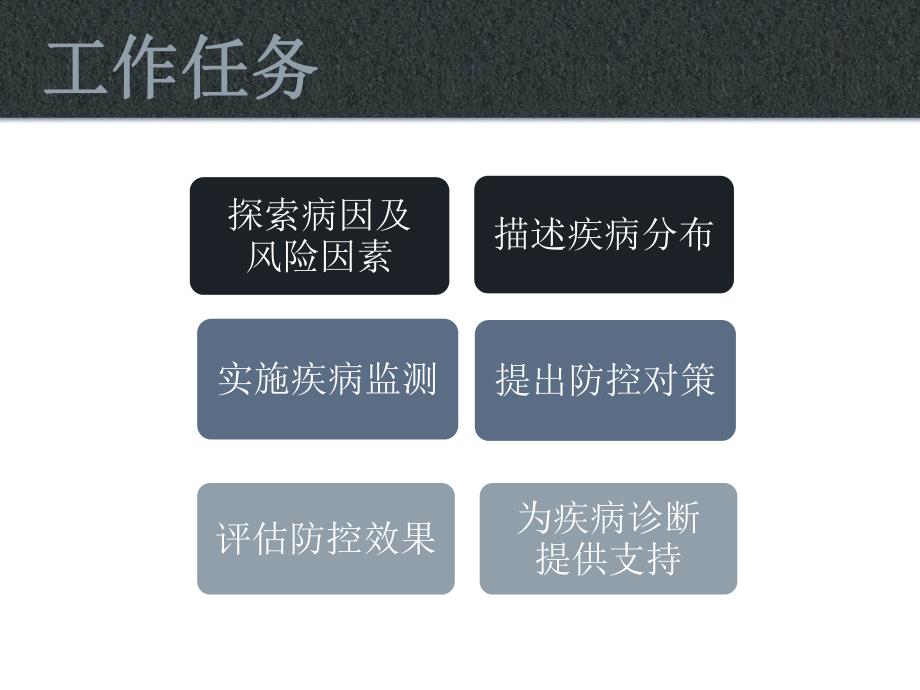 兽医流行病学.ppt_第3页