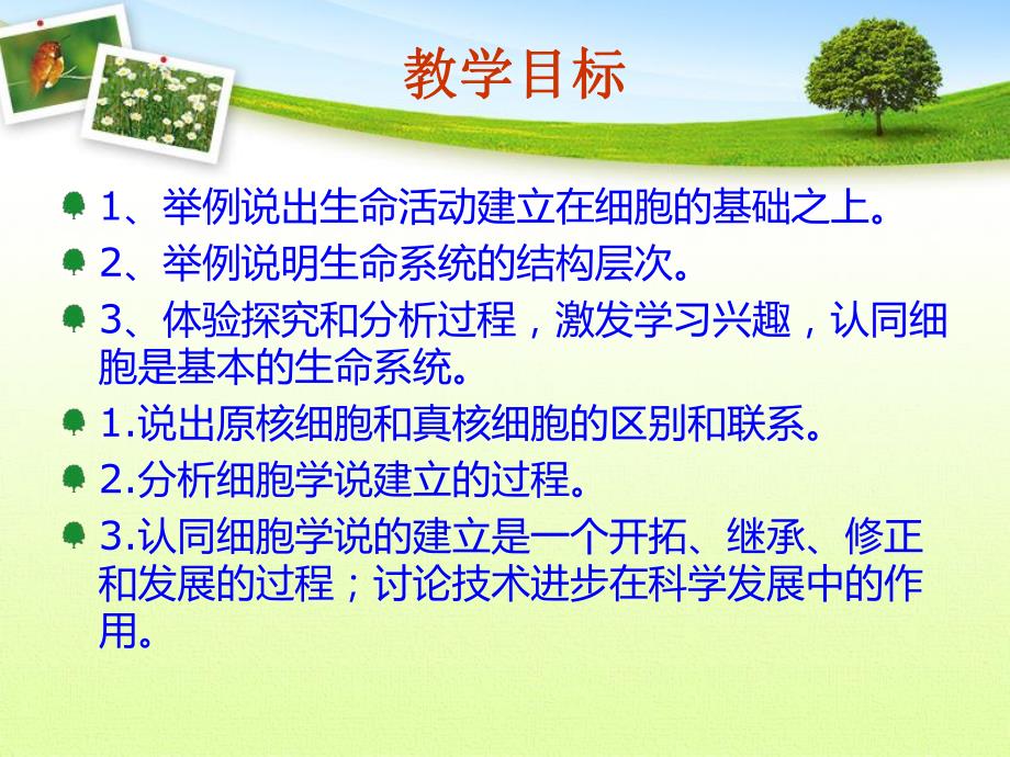 原核细胞和真核细胞.ppt_第2页