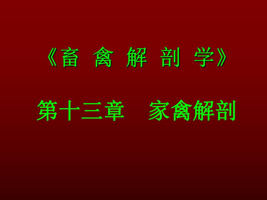 家禽解剖.ppt_第1页