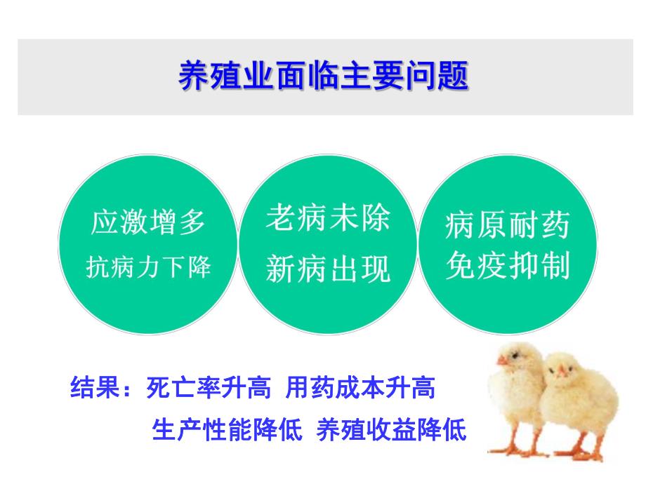 中药在规模化养殖的应用思路.ppt_第2页