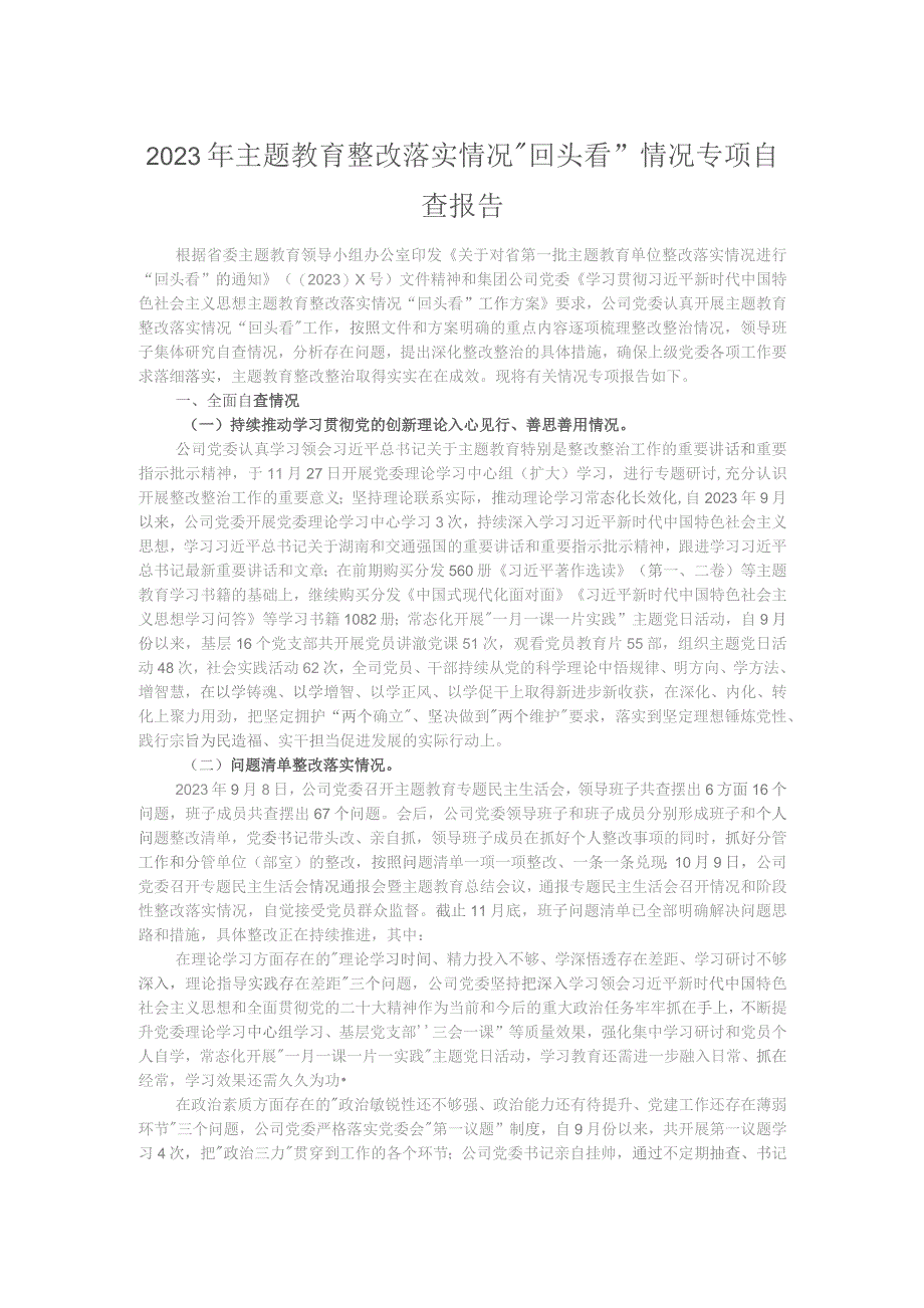 2023年主题教育整改落实情况“回头看”情况专项自查报告.docx_第1页