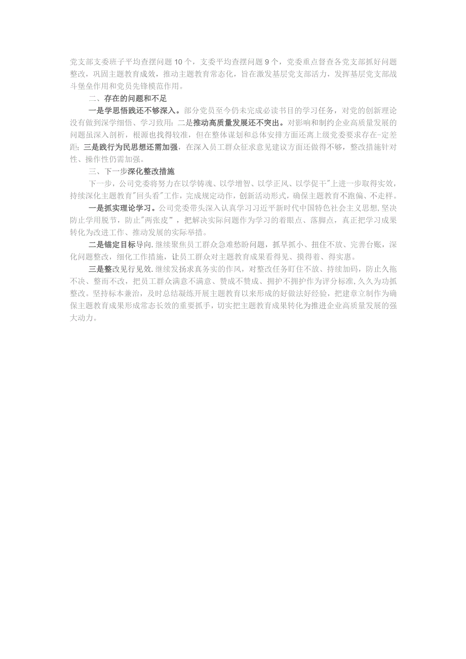 2023年主题教育整改落实情况“回头看”情况专项自查报告.docx_第3页