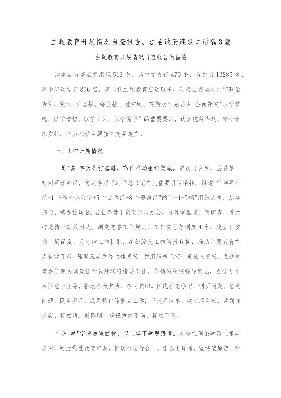 主题教育开展情况自查报告、法治政府建设讲话稿3篇.docx_第1页