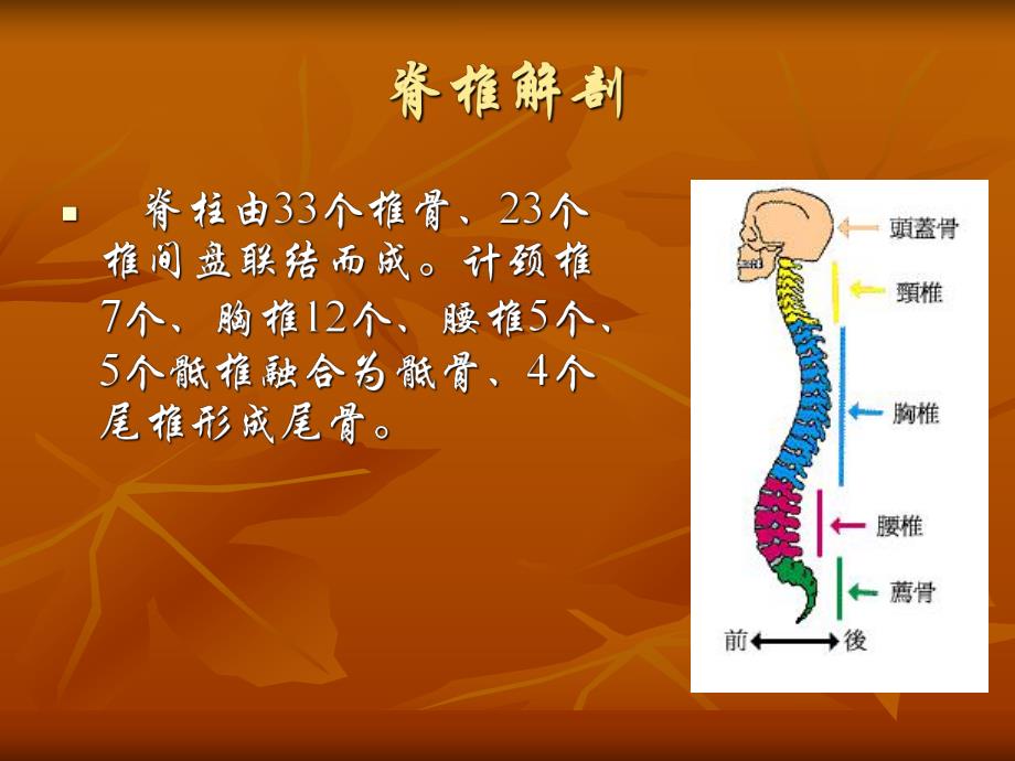 颈脊髓损伤培训.ppt_第3页