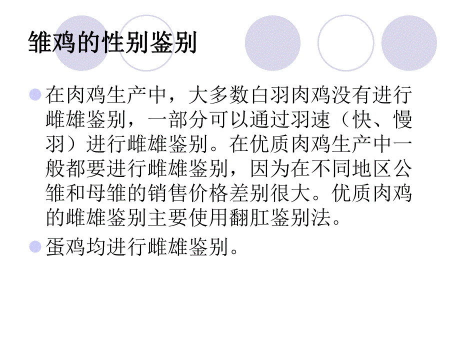 初生雏鸡的性别鉴定.ppt_第2页