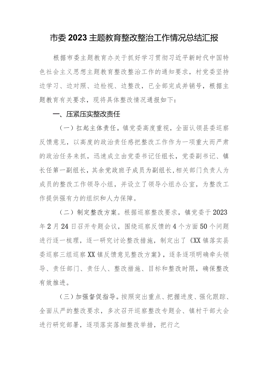 市委2023专题教育整改整治工作情况总结汇报.docx_第1页