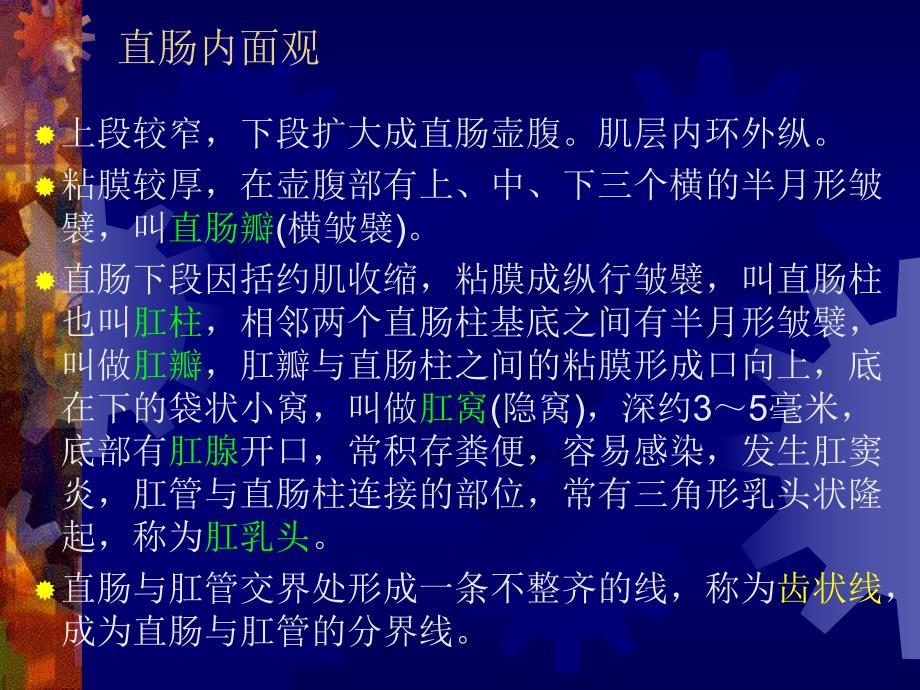 中医外科肛门直肠疾病.ppt_第3页