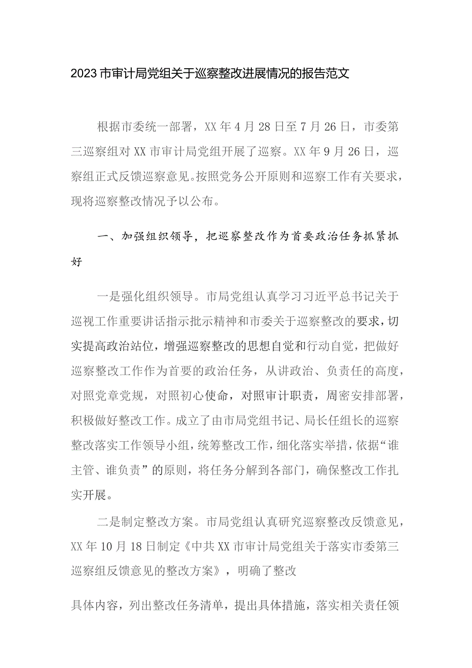 2023市审计局党组关于巡察整改进展情况的报告范文.docx_第1页