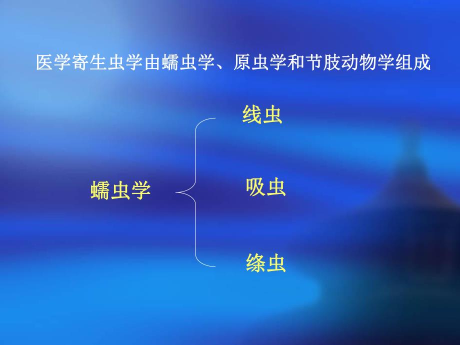 寄生虫蠕虫学总结.ppt_第3页