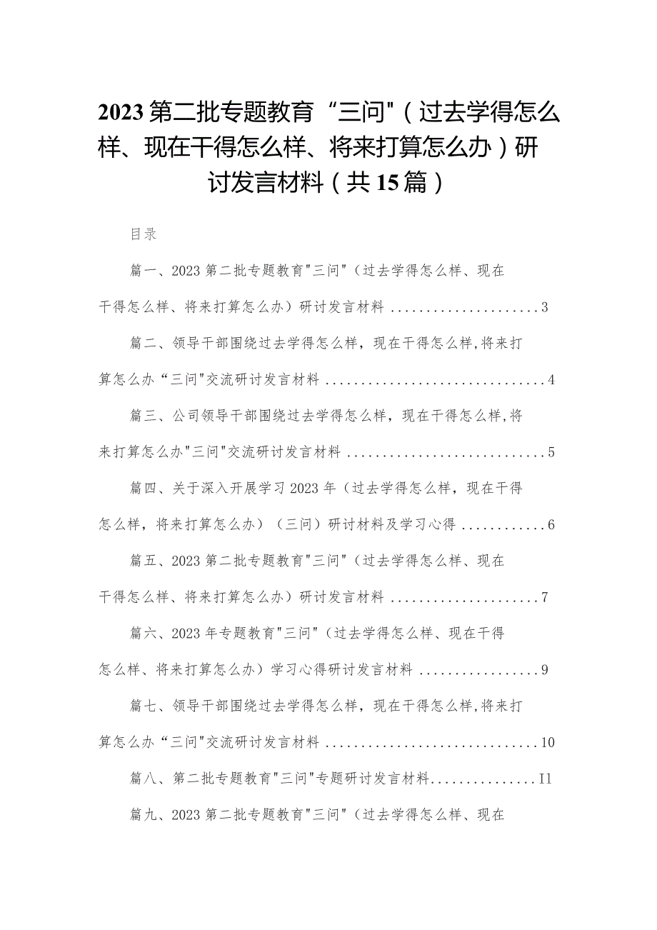 第二批专题教育“三问”（过去学得怎么样、现在干得怎么样、将来打算怎么办）研讨发言材料15篇（精编版）.docx_第1页