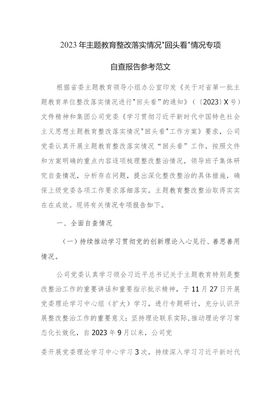 2023年主题教育整改落实情况“回头看”情况专项自查报告参考范文.docx_第1页