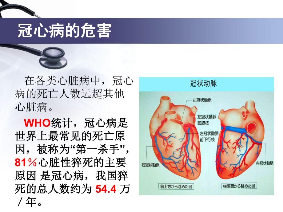 中医中药防治冠心病.ppt_第2页