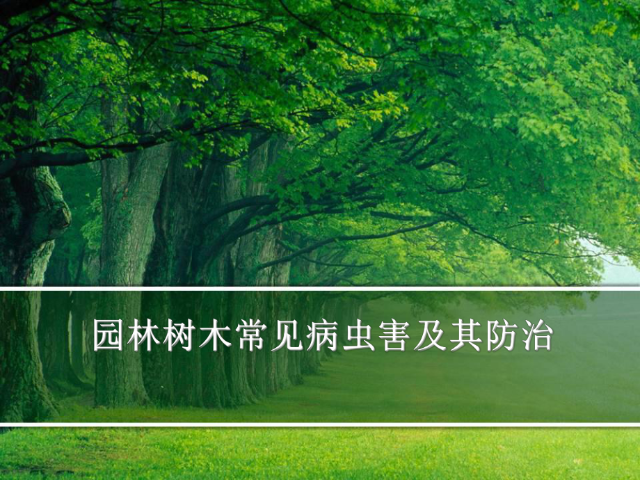 园林树木病虫害防治.ppt_第1页