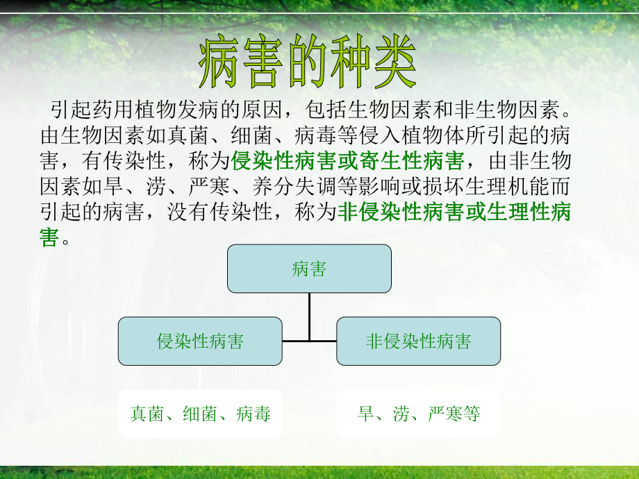 园林树木病虫害防治.ppt_第3页