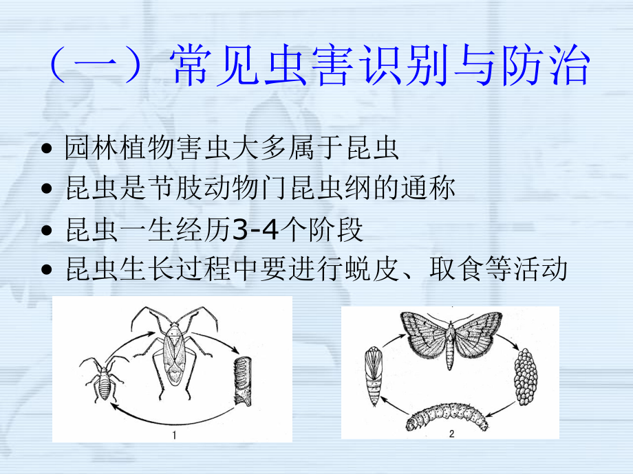 园林植物养护(病虫害)(精).ppt_第3页