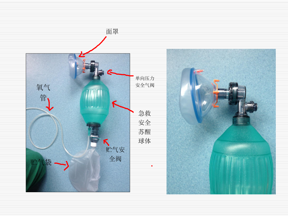 呼吸皮囊操作规程.ppt_第2页