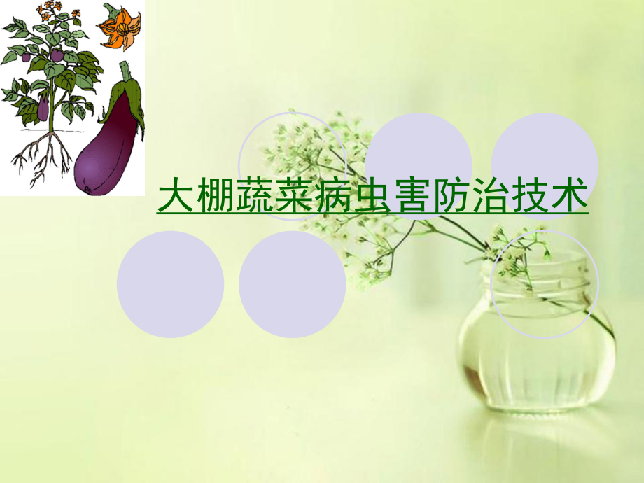 大棚蔬菜病虫害防治技术.ppt_第1页